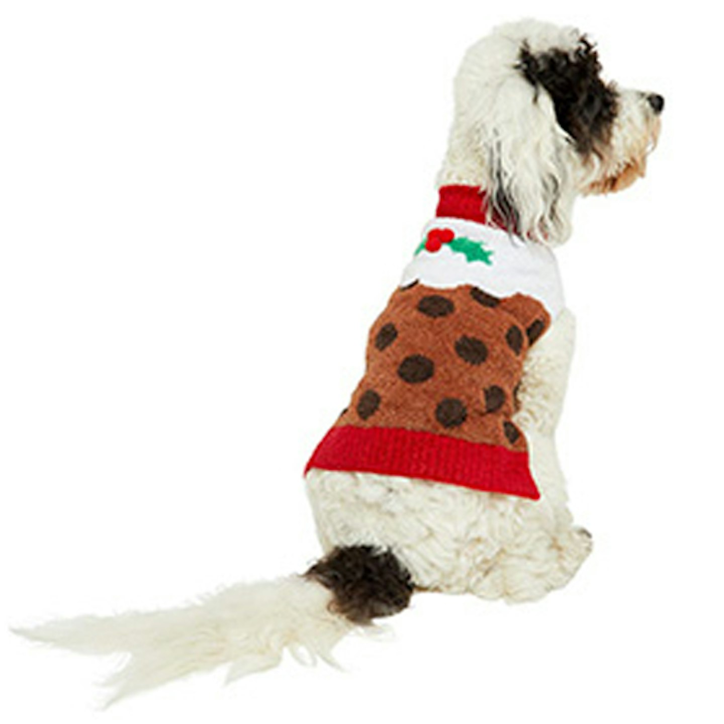 The Best Dog Christmas Jumpers